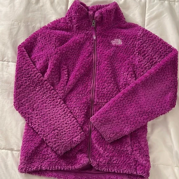 The North Face Laurel Purple fleece Jacket CRV8 Sz 14/16 Large - Picture 1 of 2